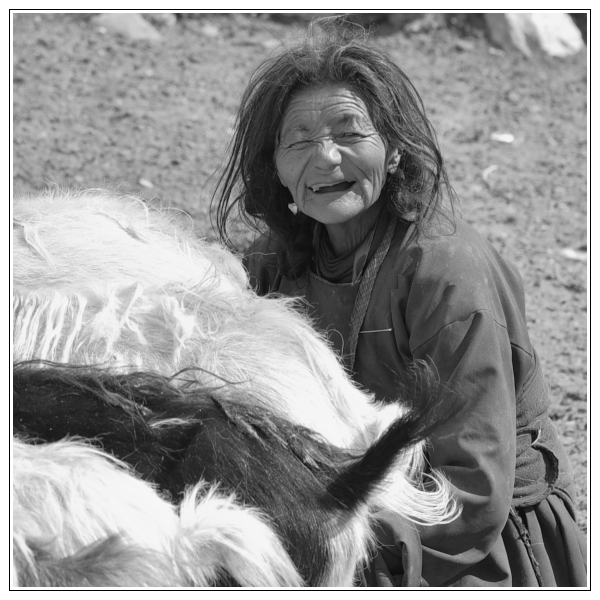 Visages du Ladakh