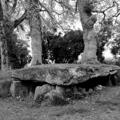 Le dolmen de la Maison-Trouvée entre les chênes