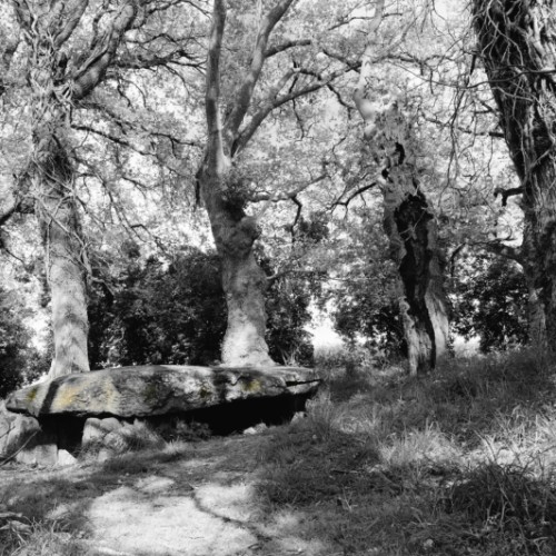 Le dolmen de la Maison-Trouvée