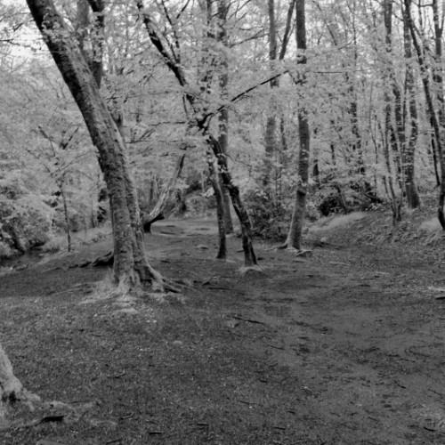 Le Val sans retour