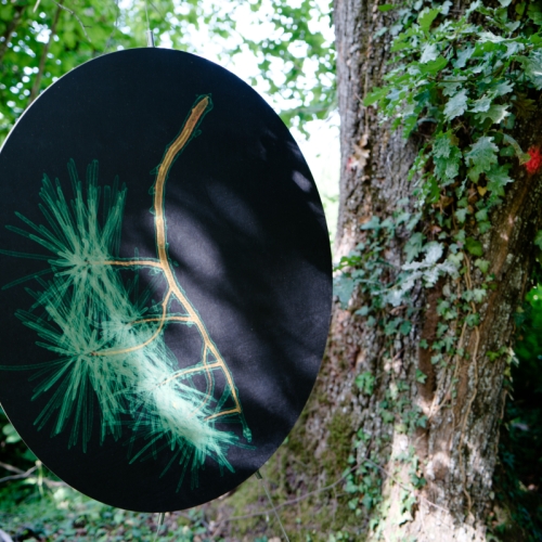 Micro-paysage - Cédric Bregnard