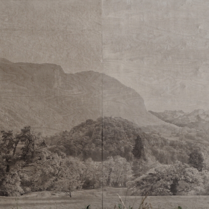 Paysage alpin (l'état au début de l'exposition)  - Cédric Bregnard