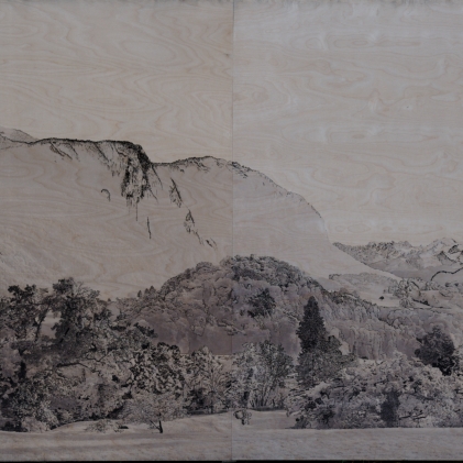 Paysage alpin (l'état à la fin de l'exposition)  - Cédric Bregnard