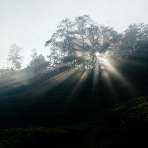 Munnar-07