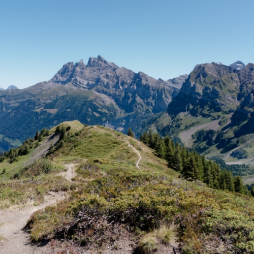 Les Dents du Midi depuis l'échine.