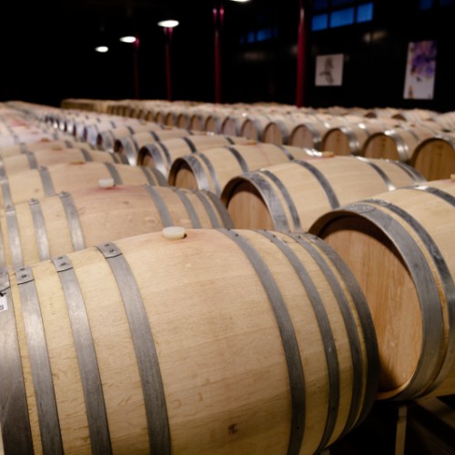Vieilissement de Barolo - cave Domenico Clerico