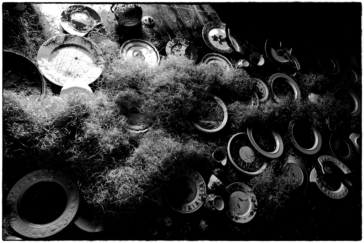 Exposition triénale B&A 2023