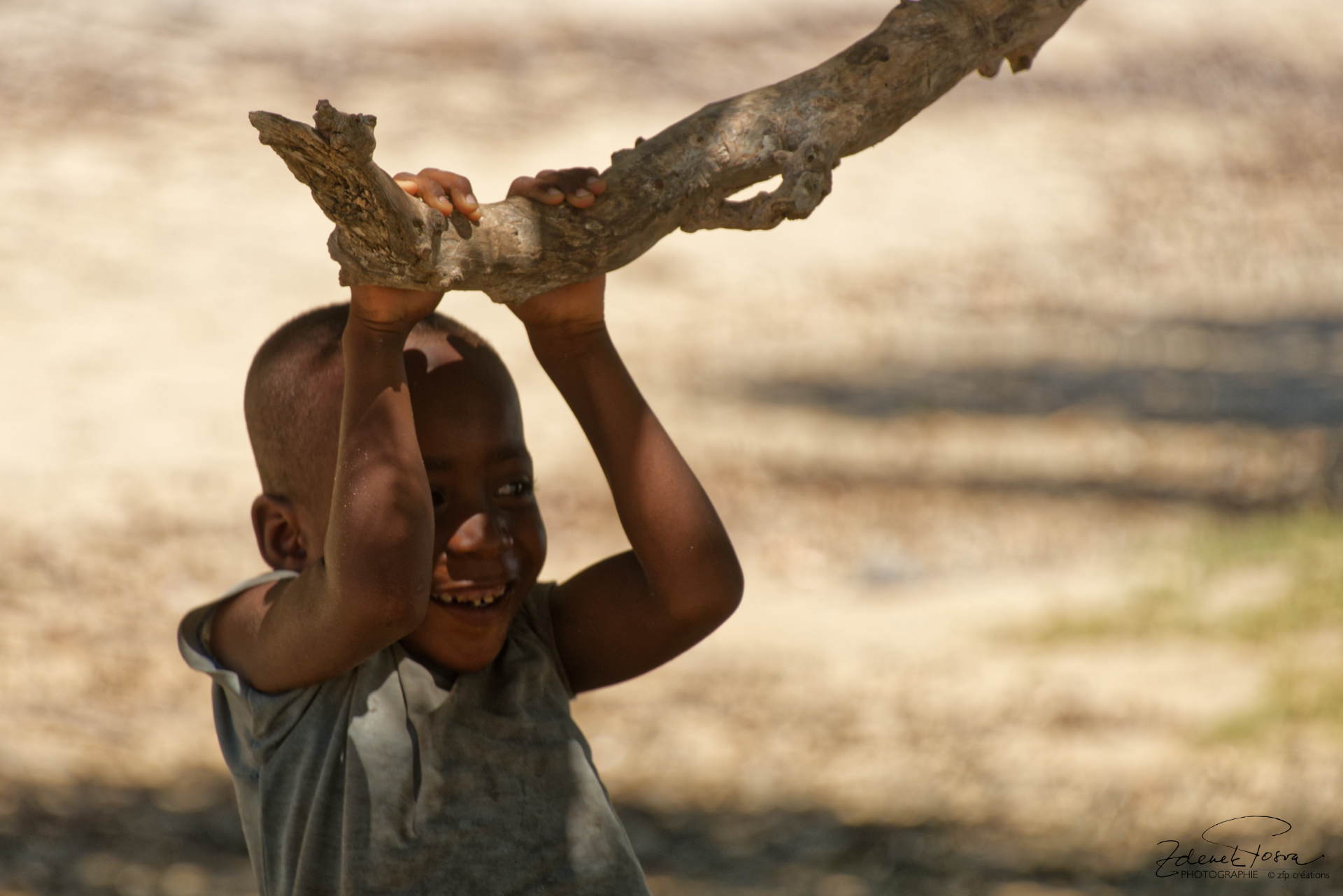 Se percher sur une branche ...