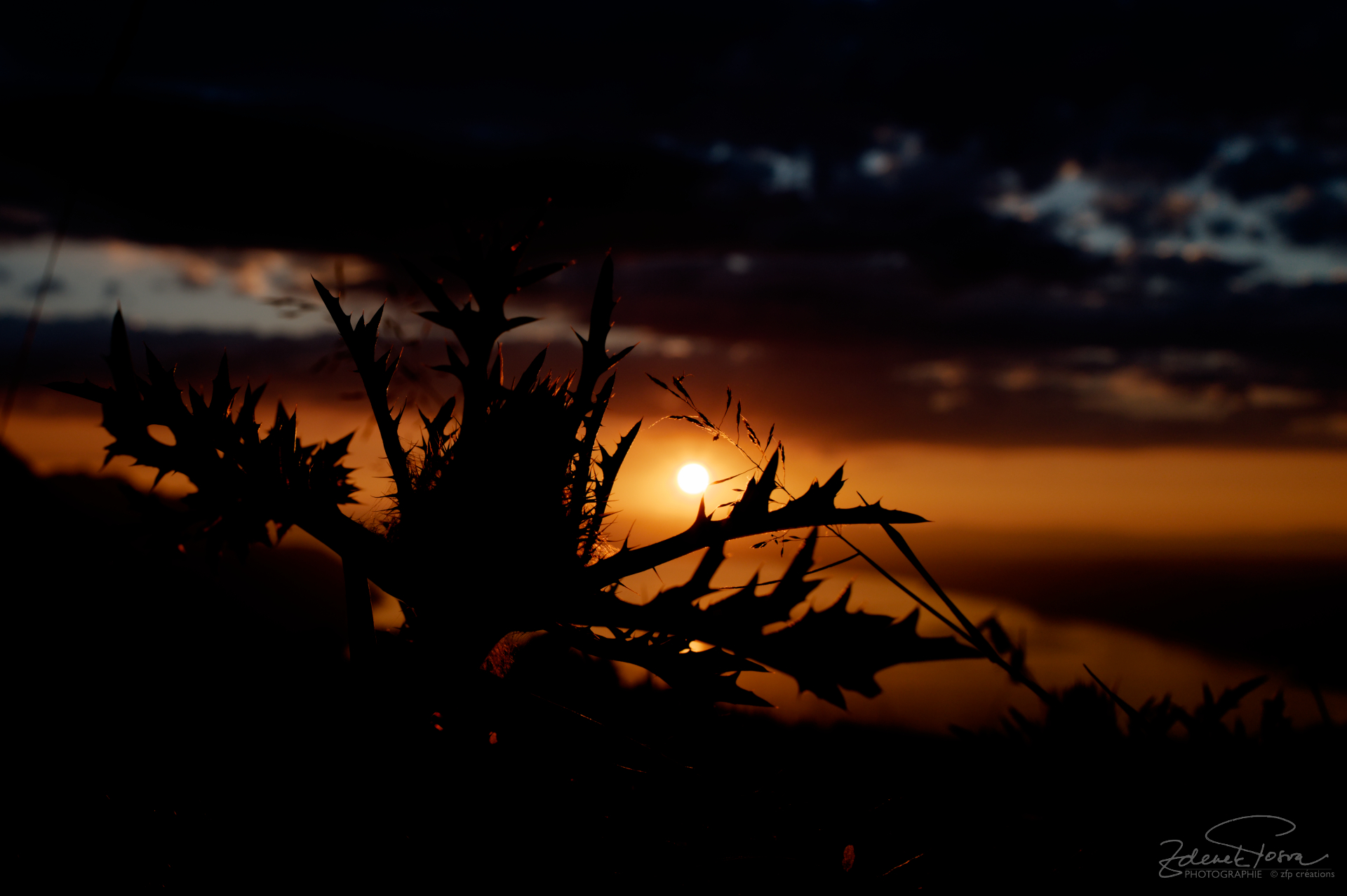 Le coucher du soleil sur le lac Léman