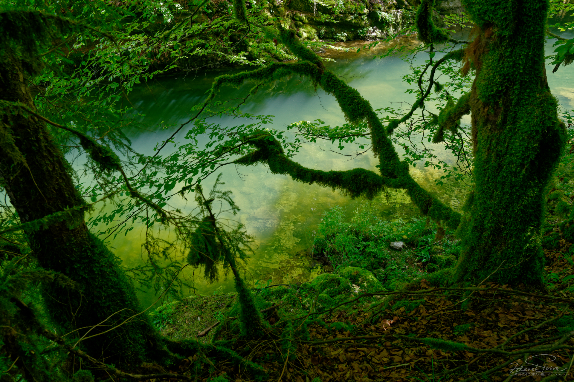 Le vert das sa gamme mystérieuse