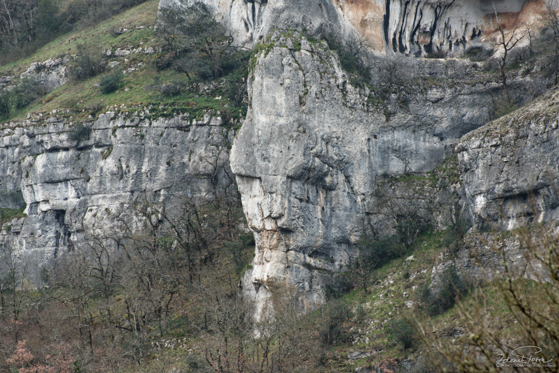 Un visage contemplatif ...