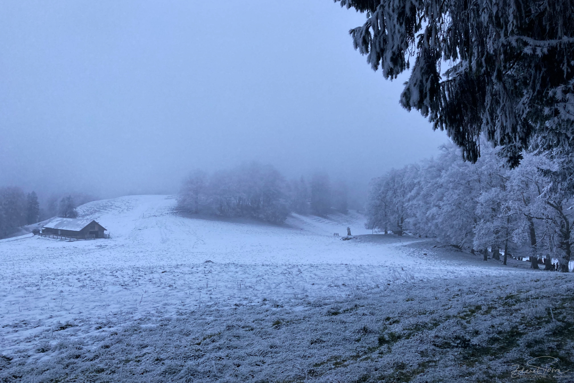 Une ambiance féerique, la nature s'est endormie ...