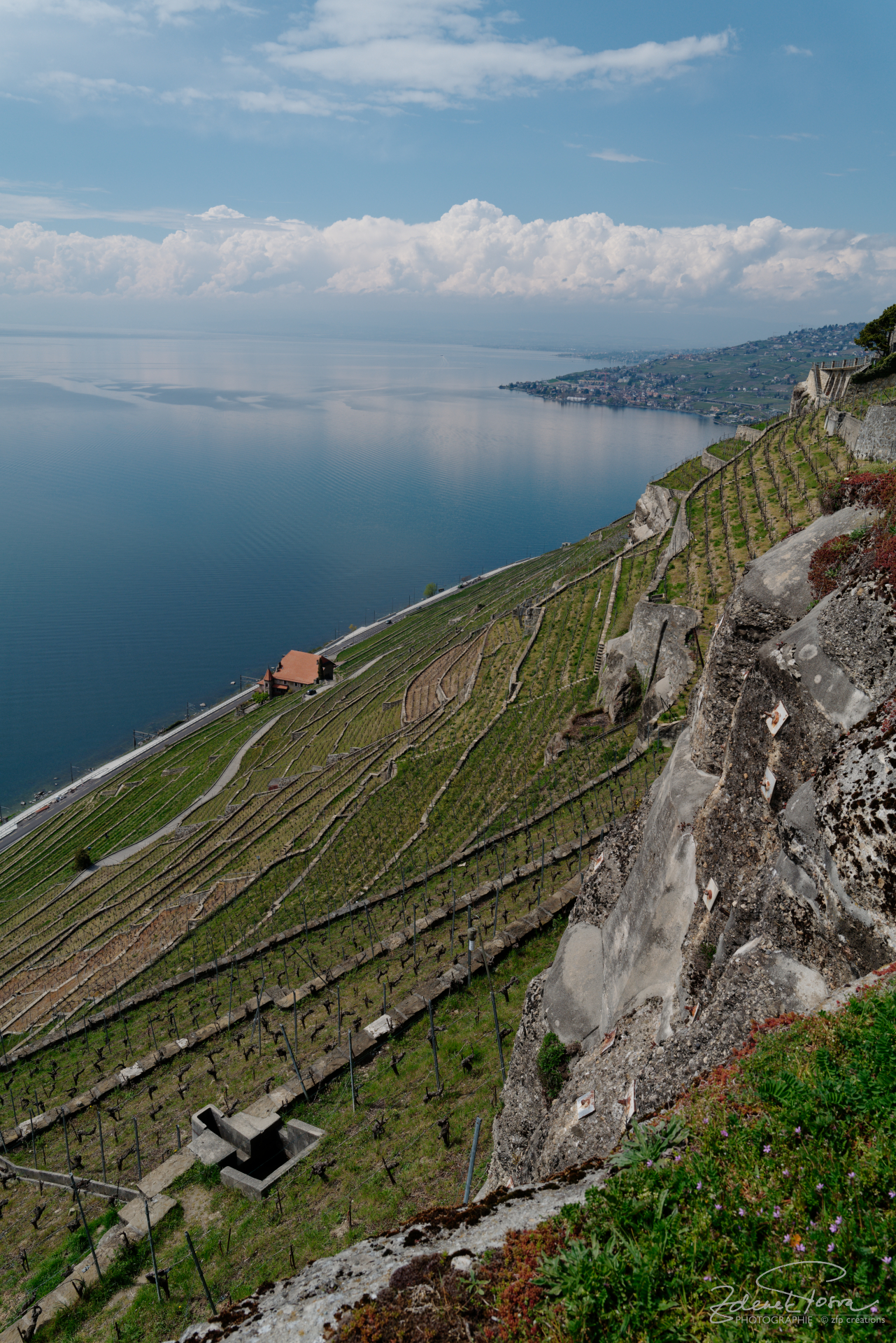 Les vignobles des Lavaux