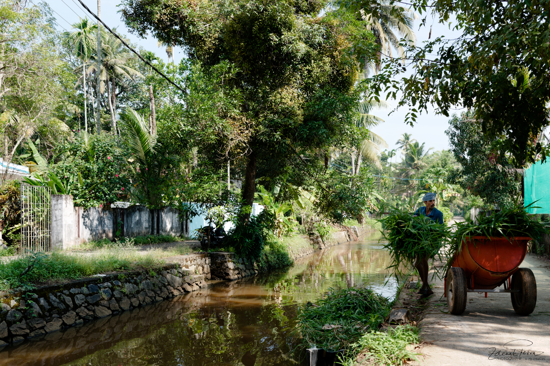 Kerala, Inde, les canneaux qui allimentent les rizerais