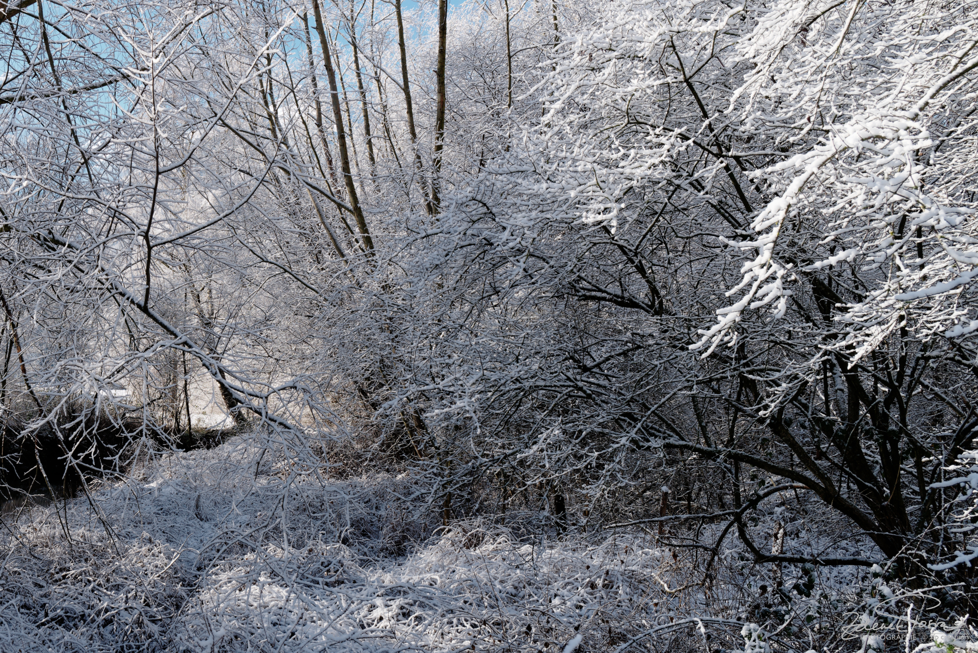 Une journée glaciale