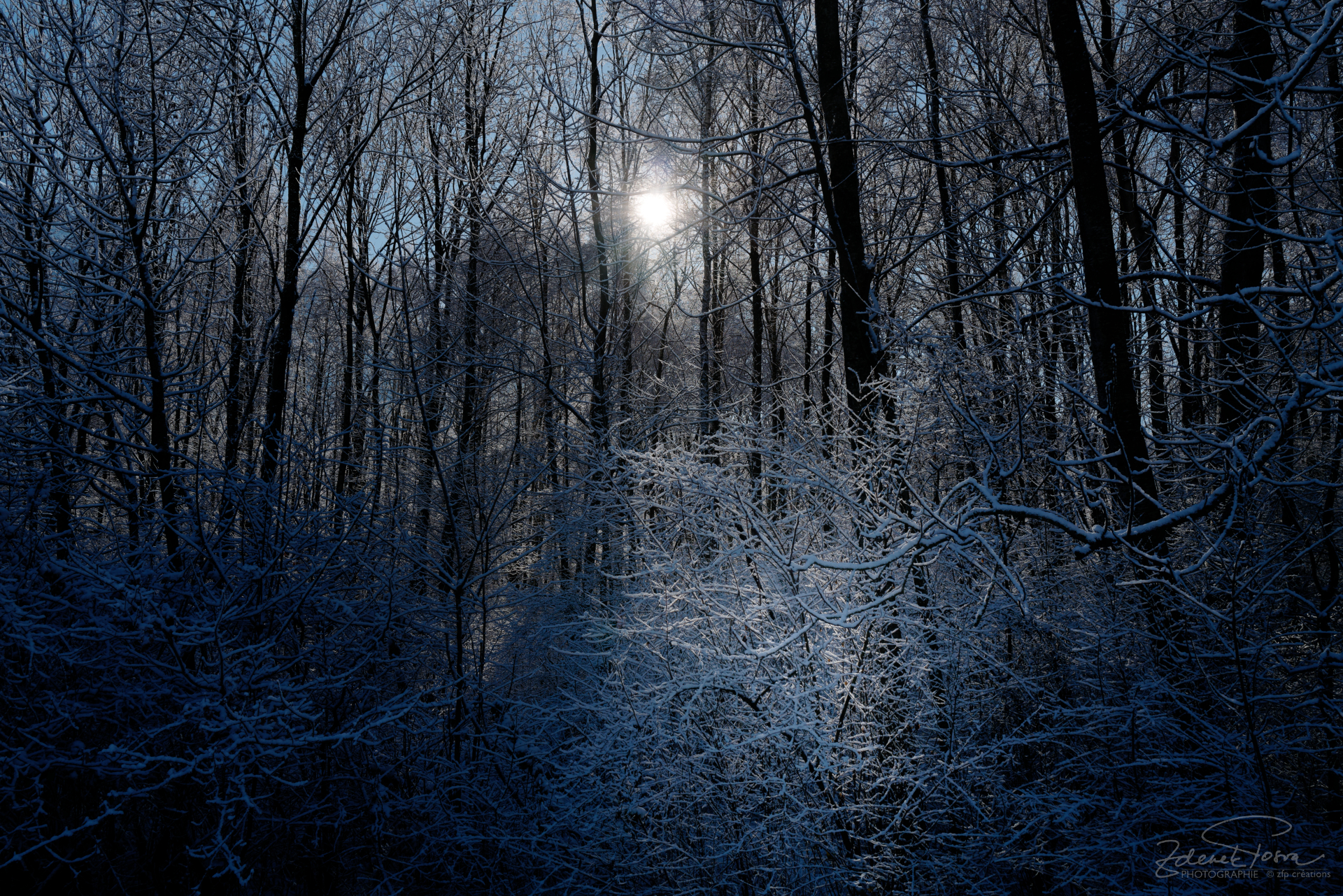 Une journée glaciale