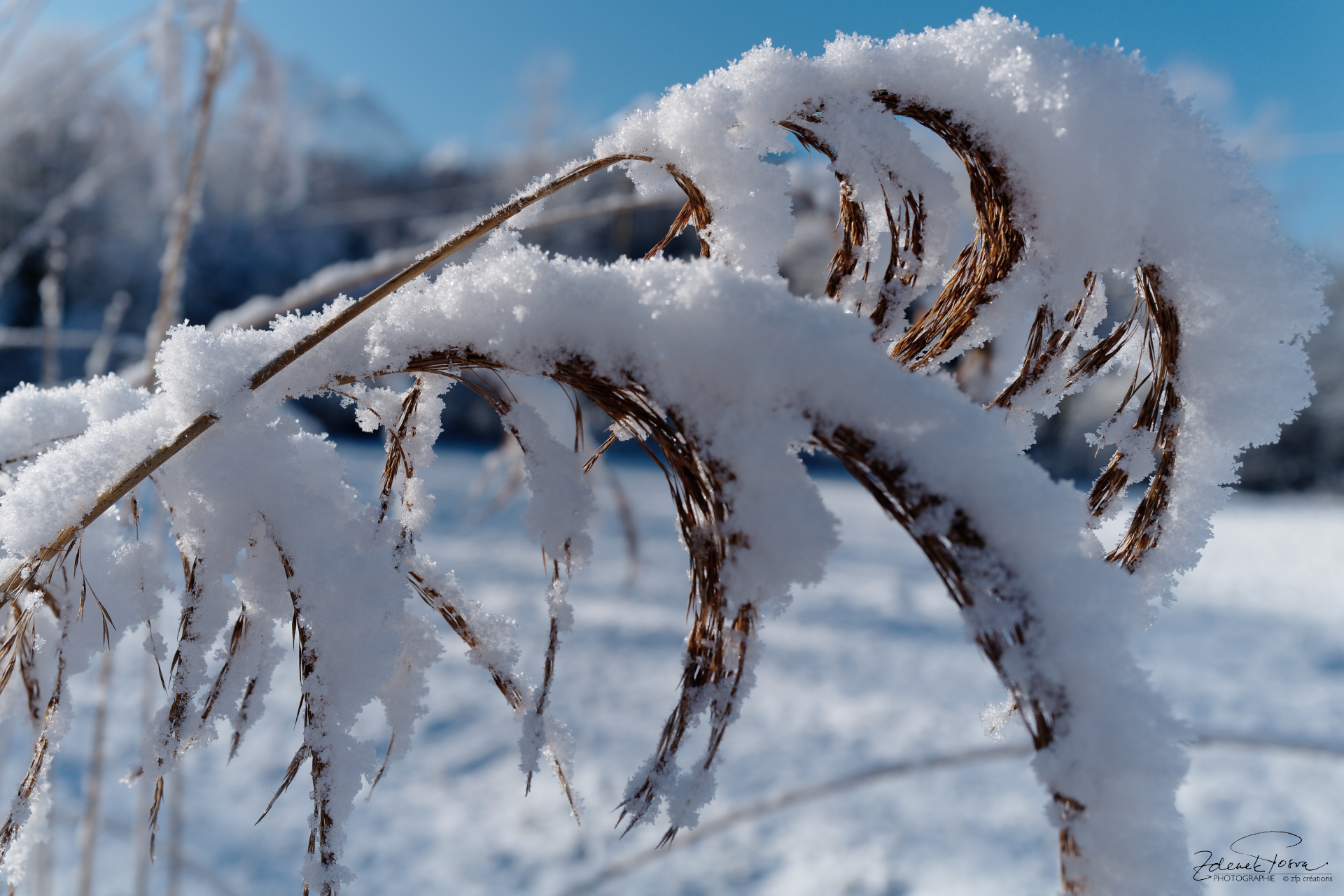 Une journée glaciale