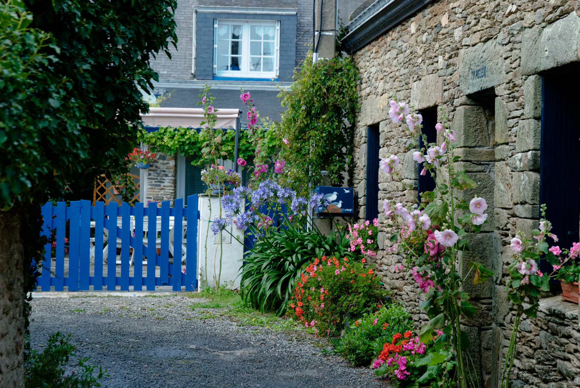 Sur une île en Bretagne