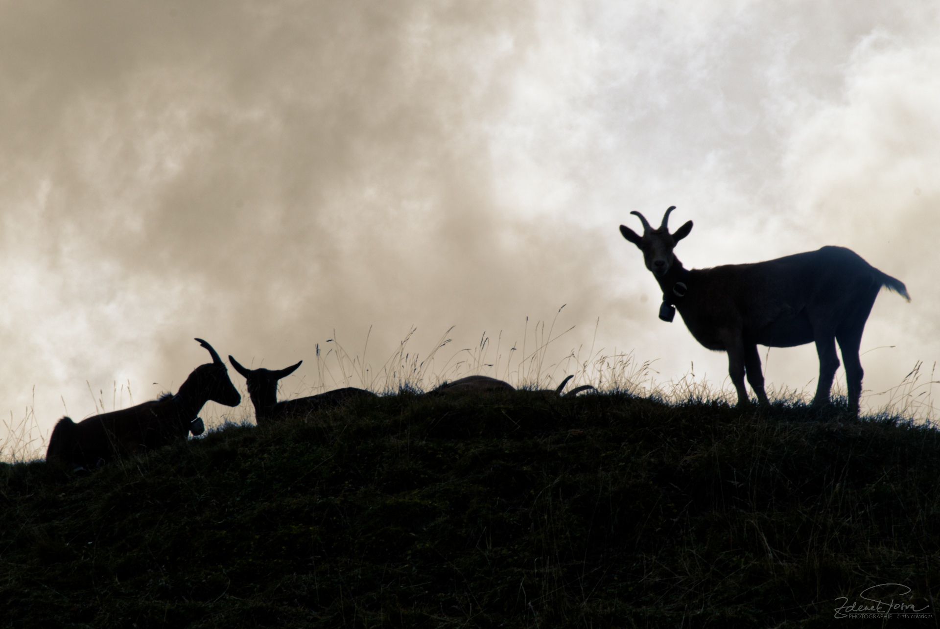 Sur la crête des Alpes
