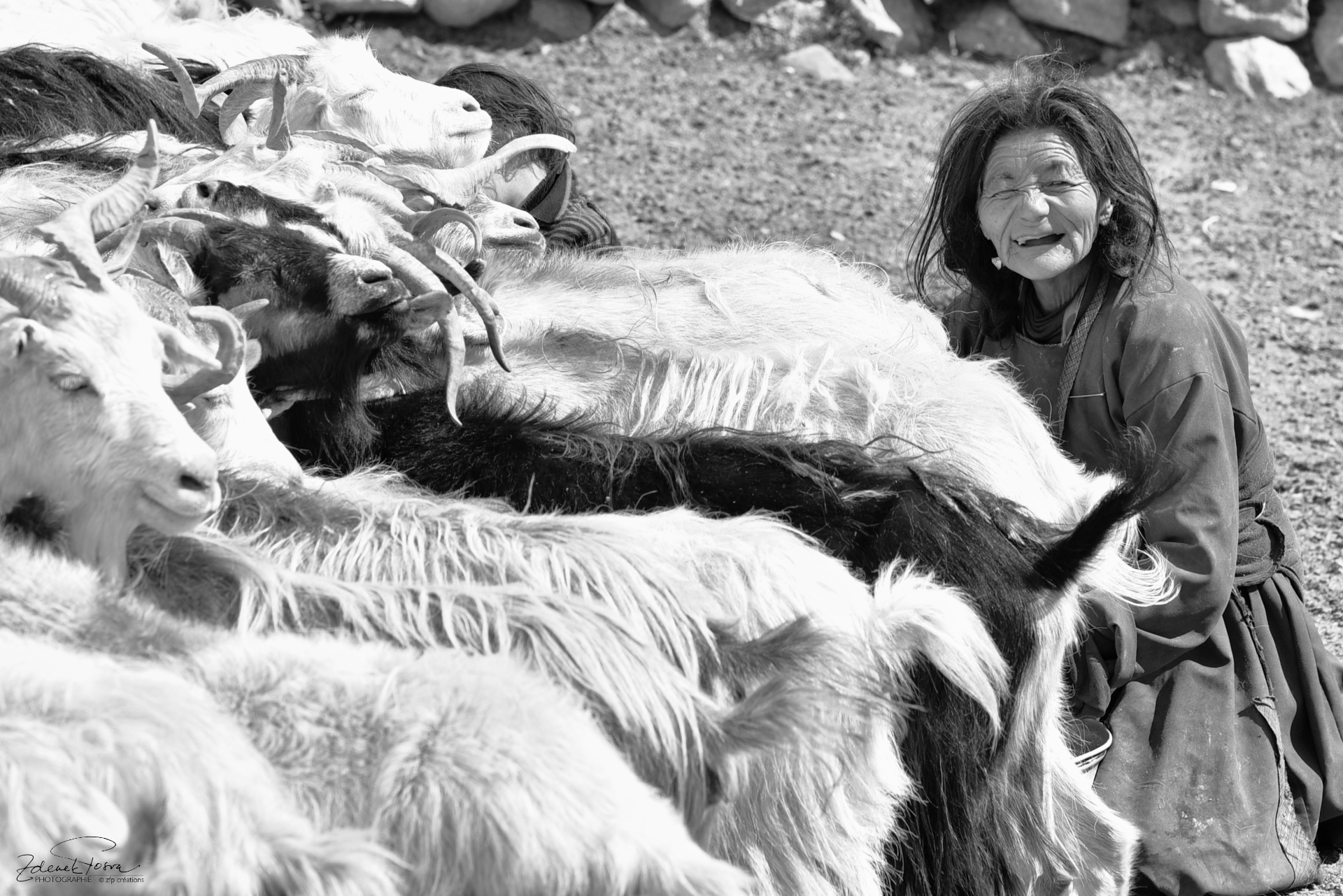 Les visages du Ladakh