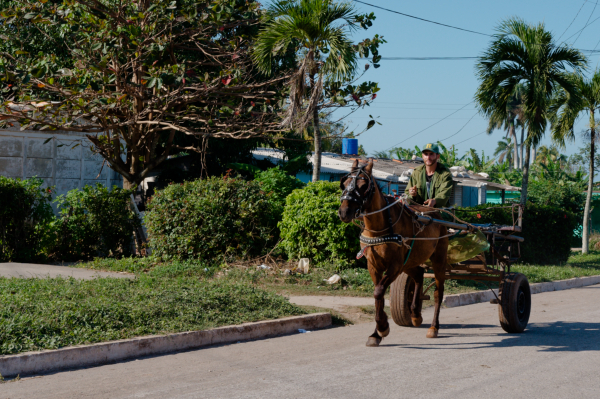 A la campagne cubaine