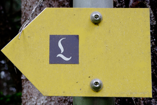 Sur le chemin du Lech