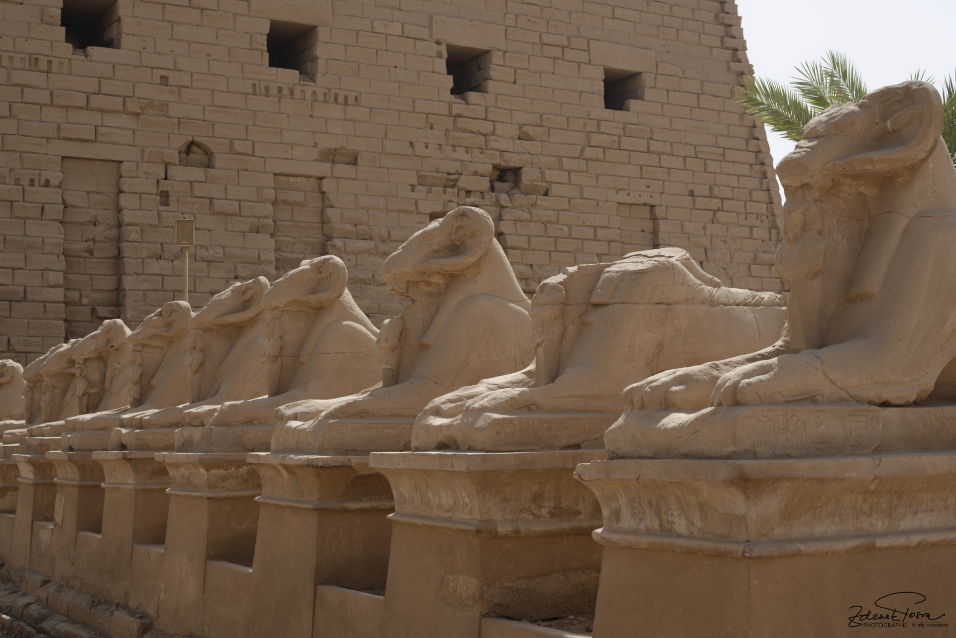 Le temple de Karnak, l'allée des béliers