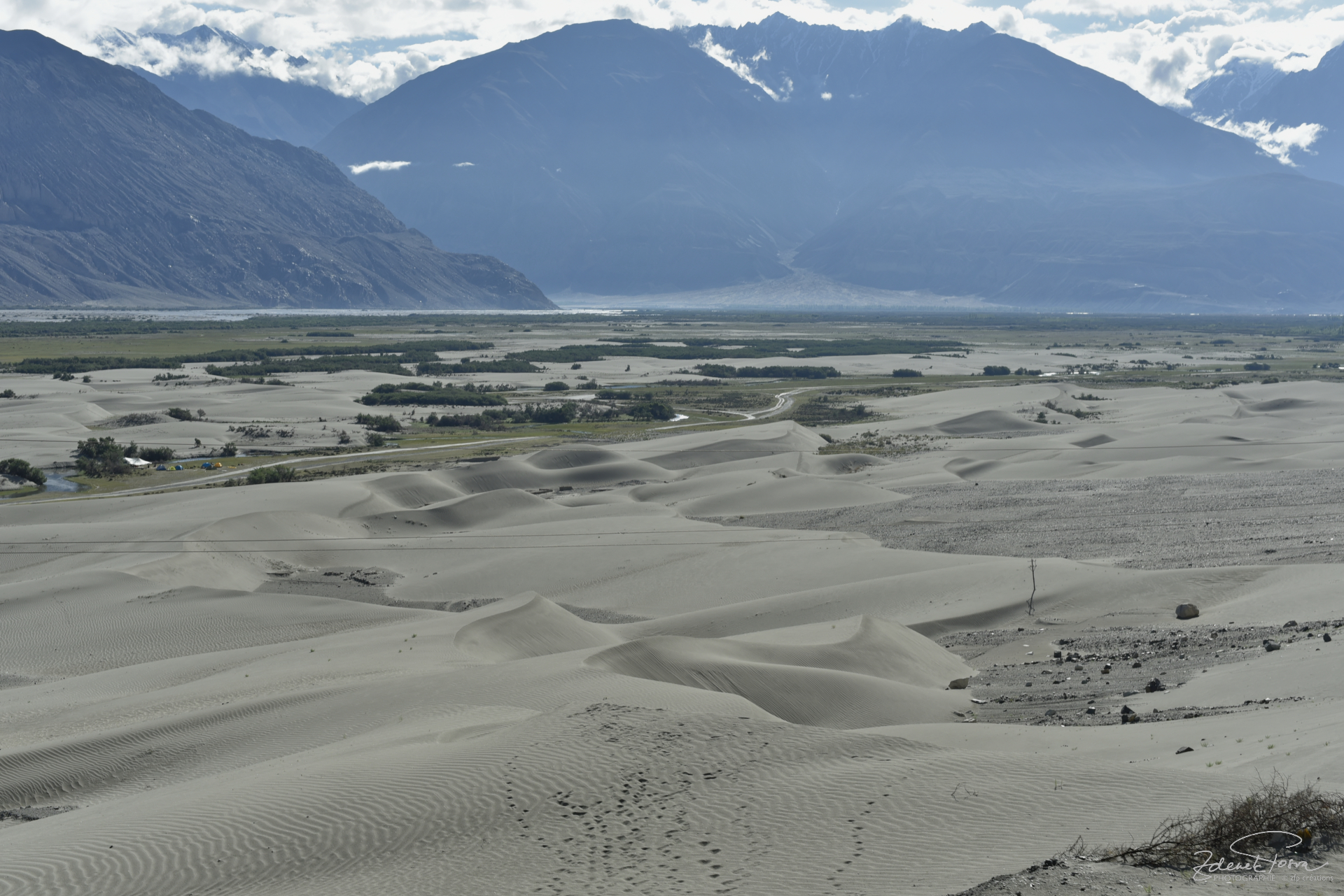 Les dune de sable dans la valée de Nubra