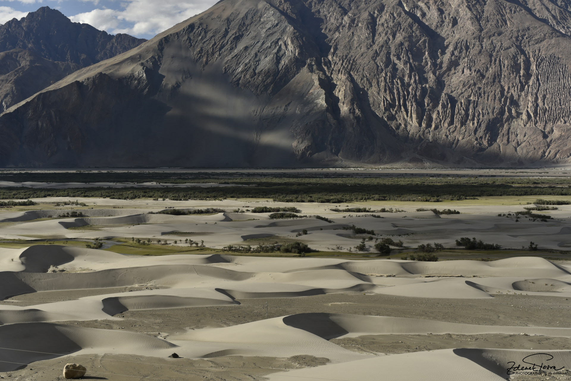Les dunes dans la valée de Nubra