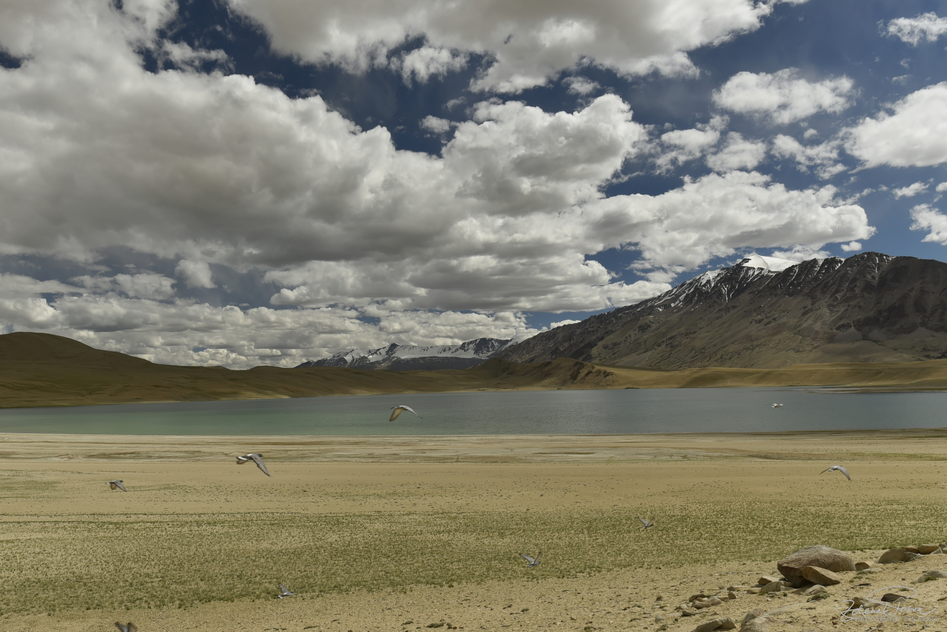Le lac Kyagar Tso