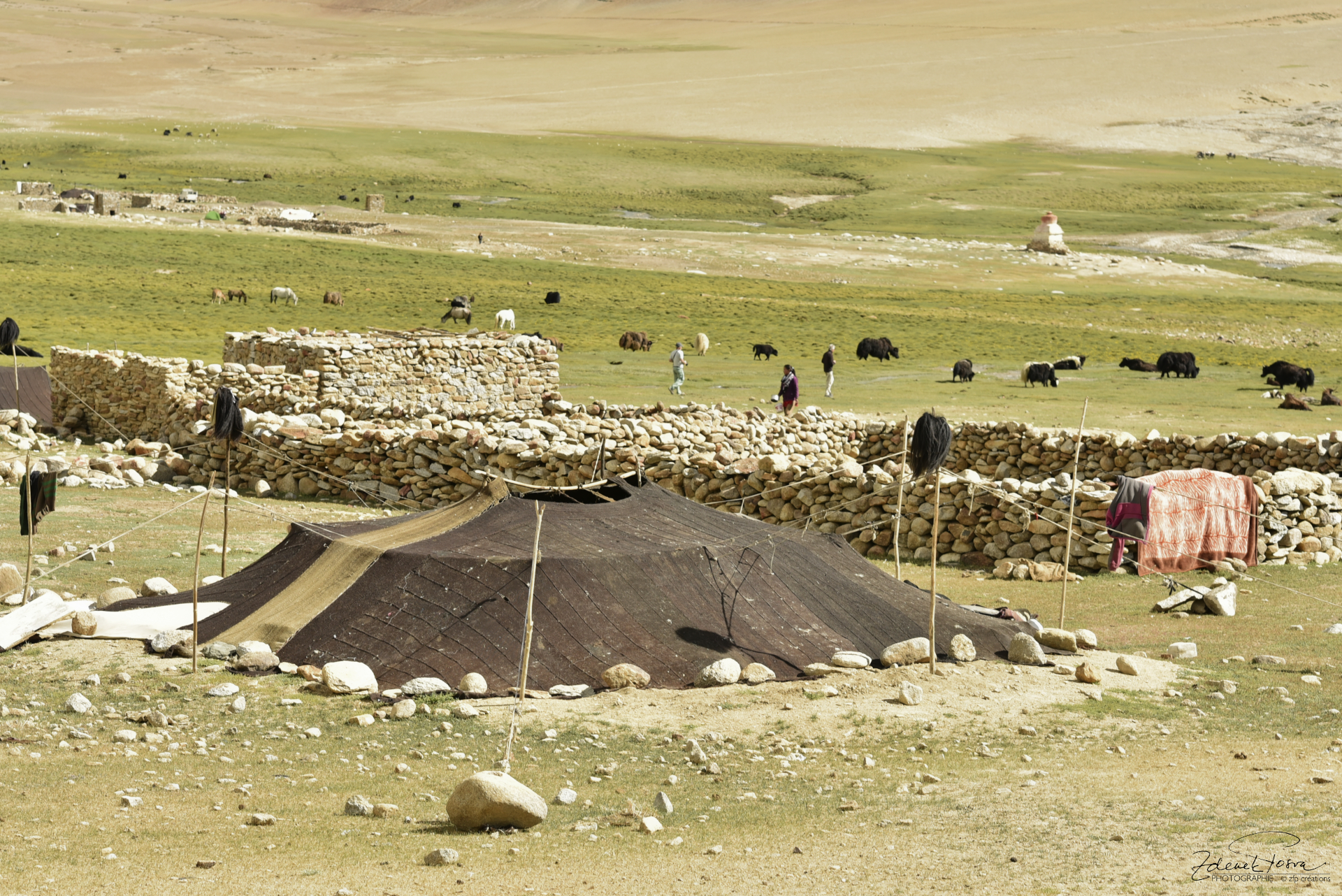 La tente des nomades