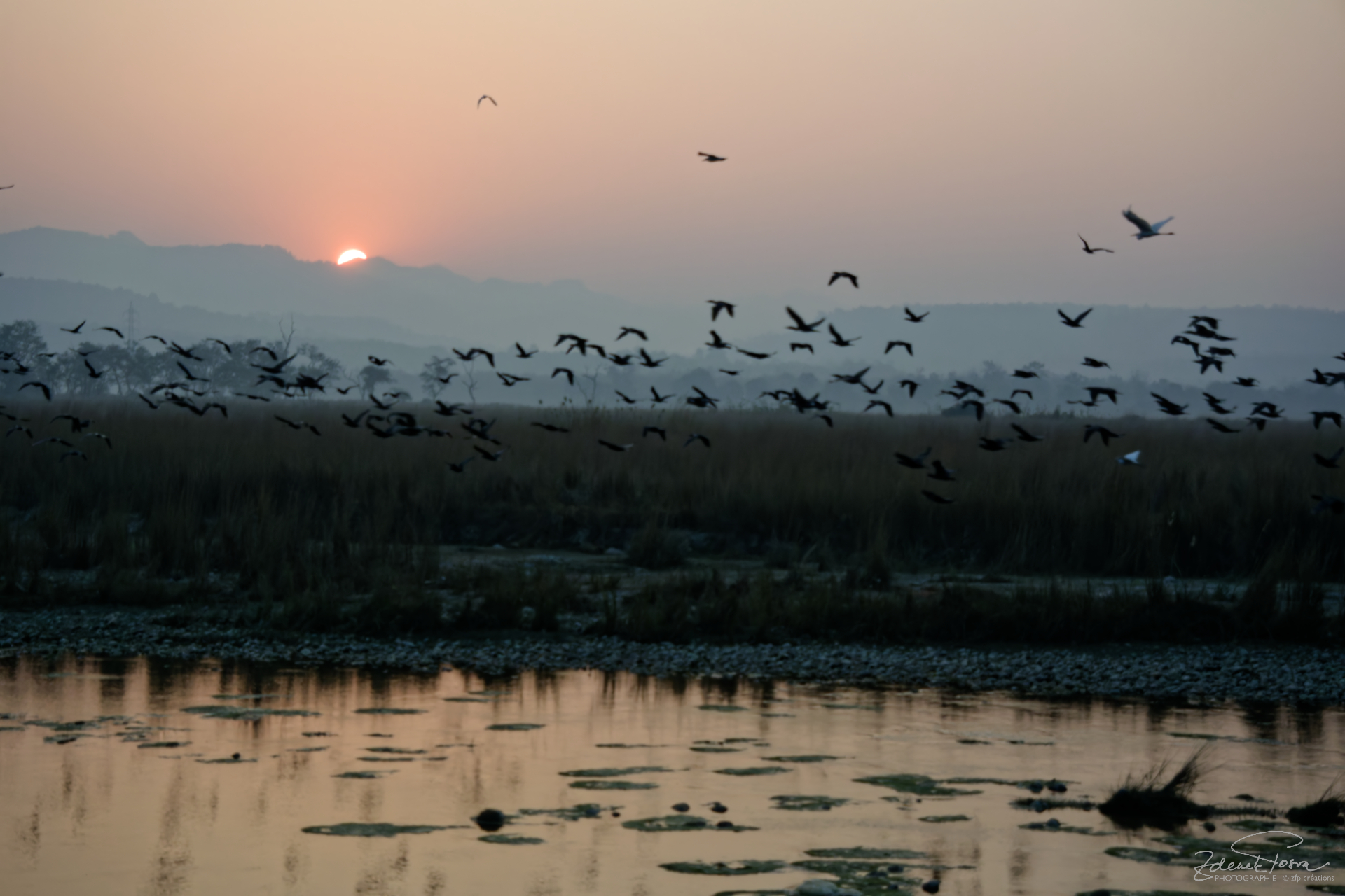 Le soleil se lève au-dessus du Gange à Haridwahr