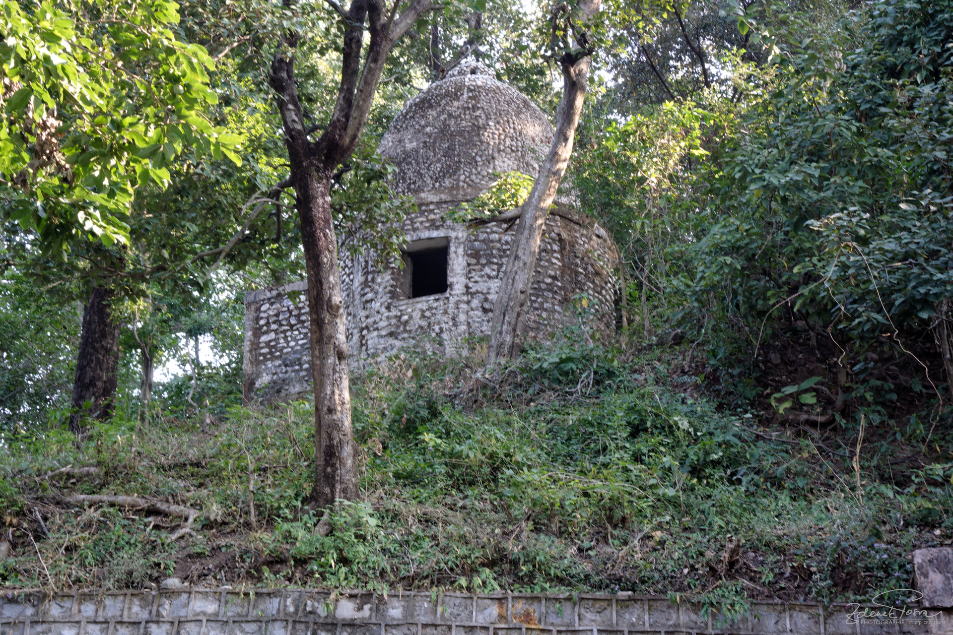 Les restes de l'ashram du Maharishi à Rishikesh, où les Beatles sont venus se ressourcer en 1968. Aujourd'hui la nature a reppris ses droits.