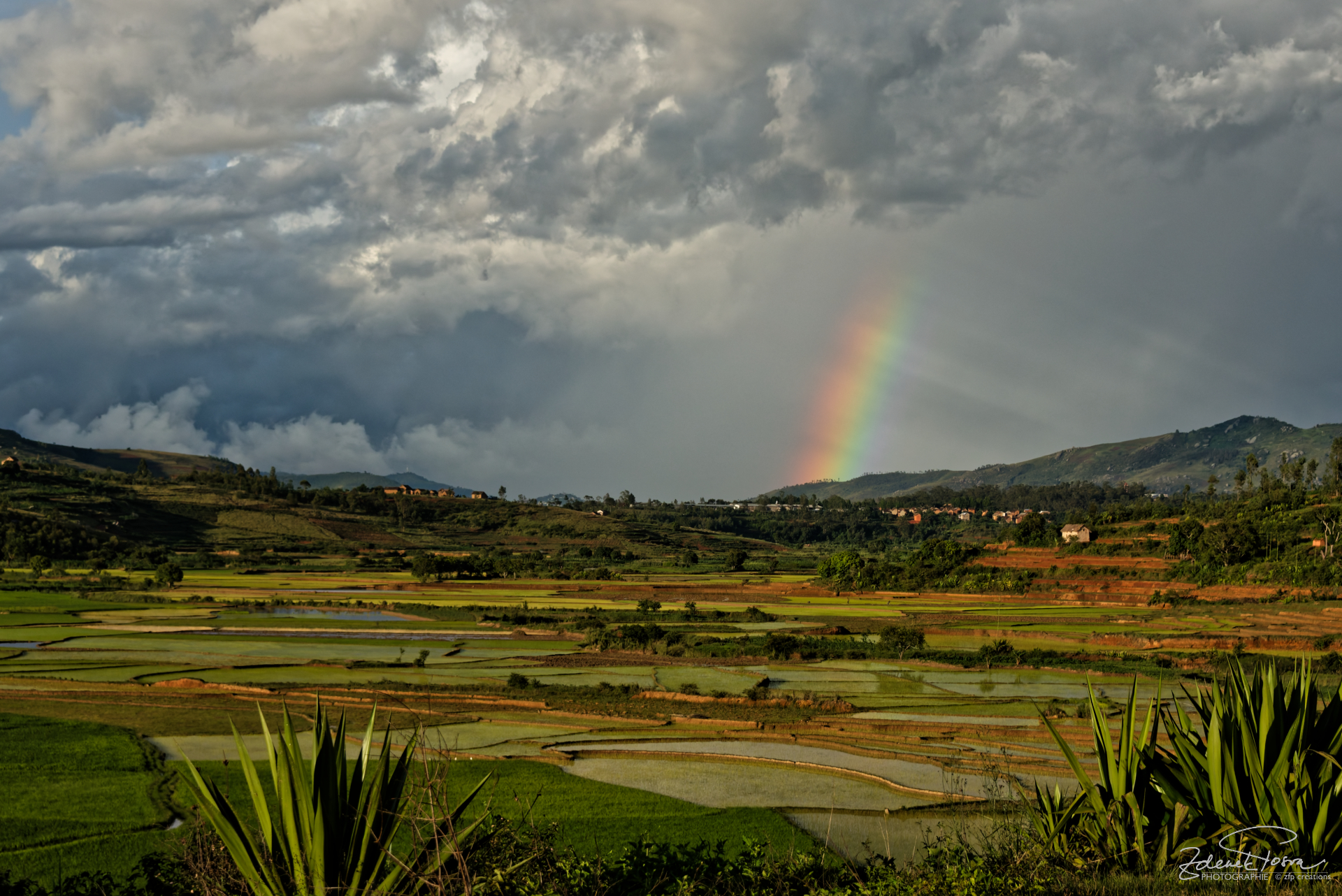 Les rizières après un orage