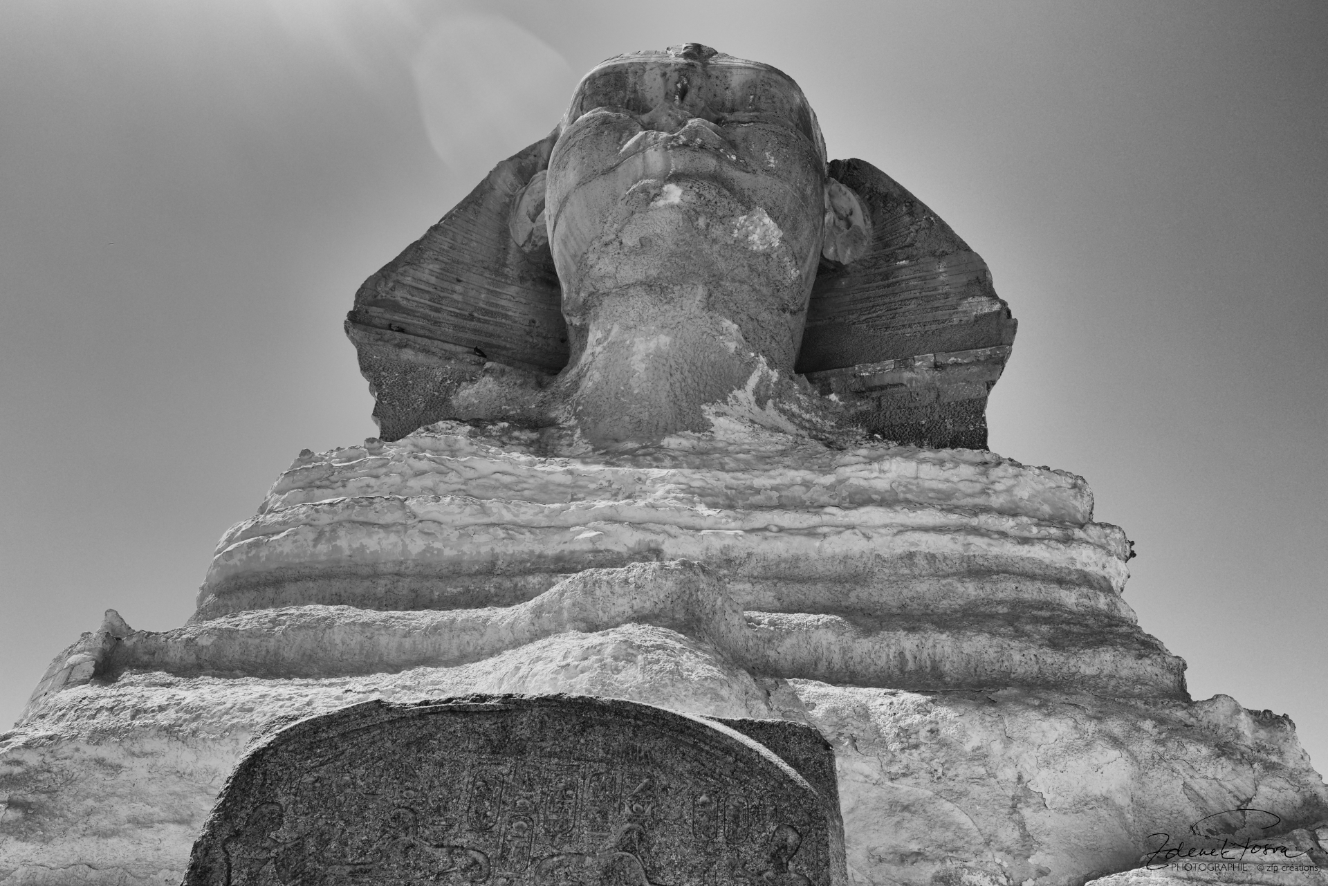 Le Sphinx majestueux