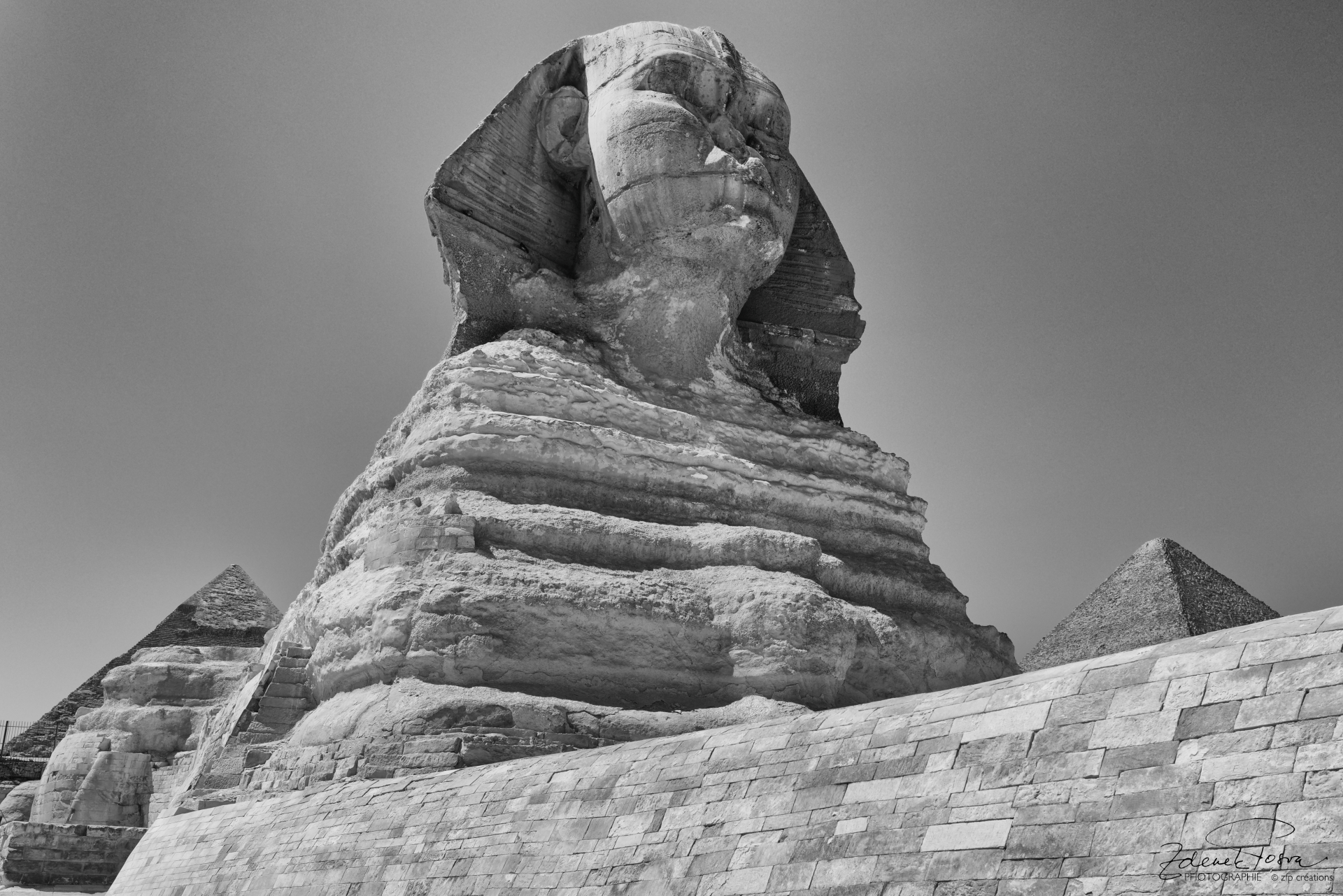 Le Sphinx majestueux