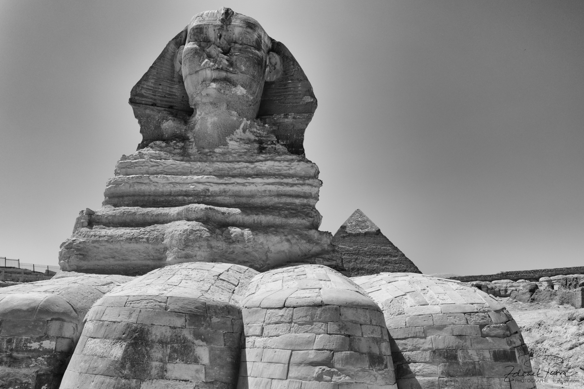 Le Sphinx majestueux