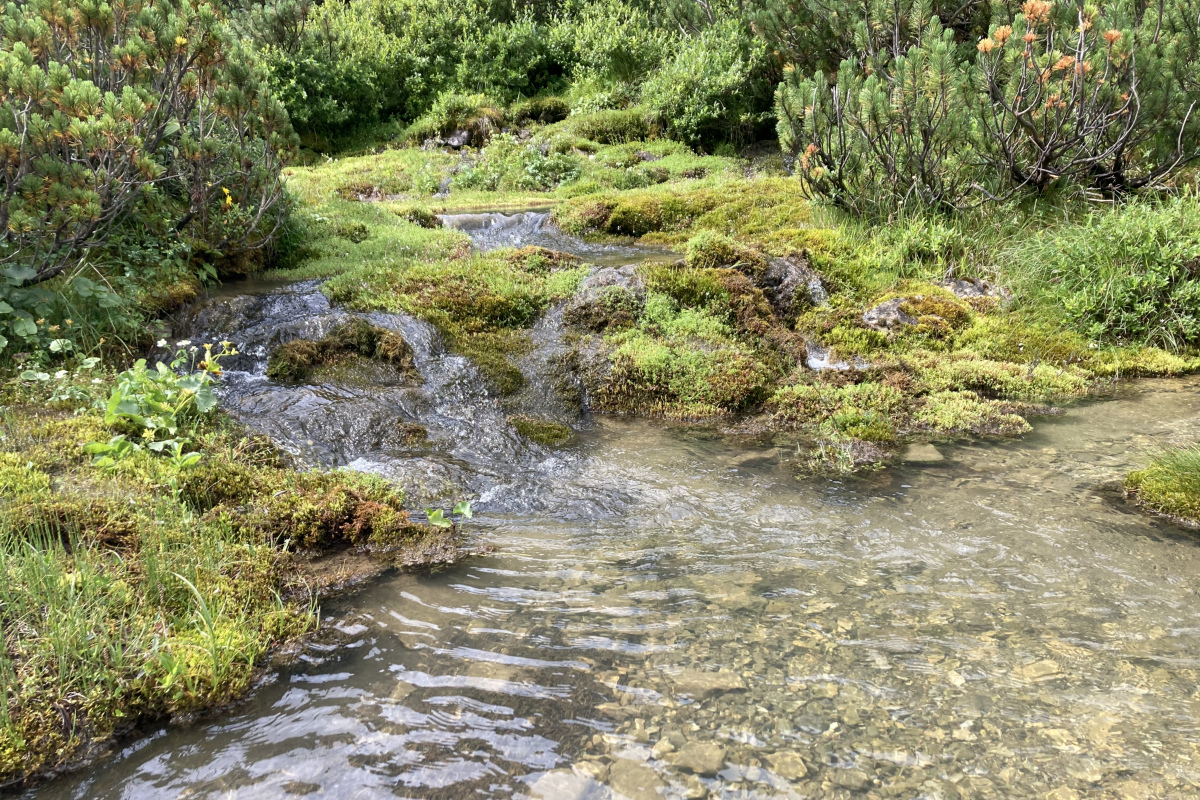 Stierlochbach