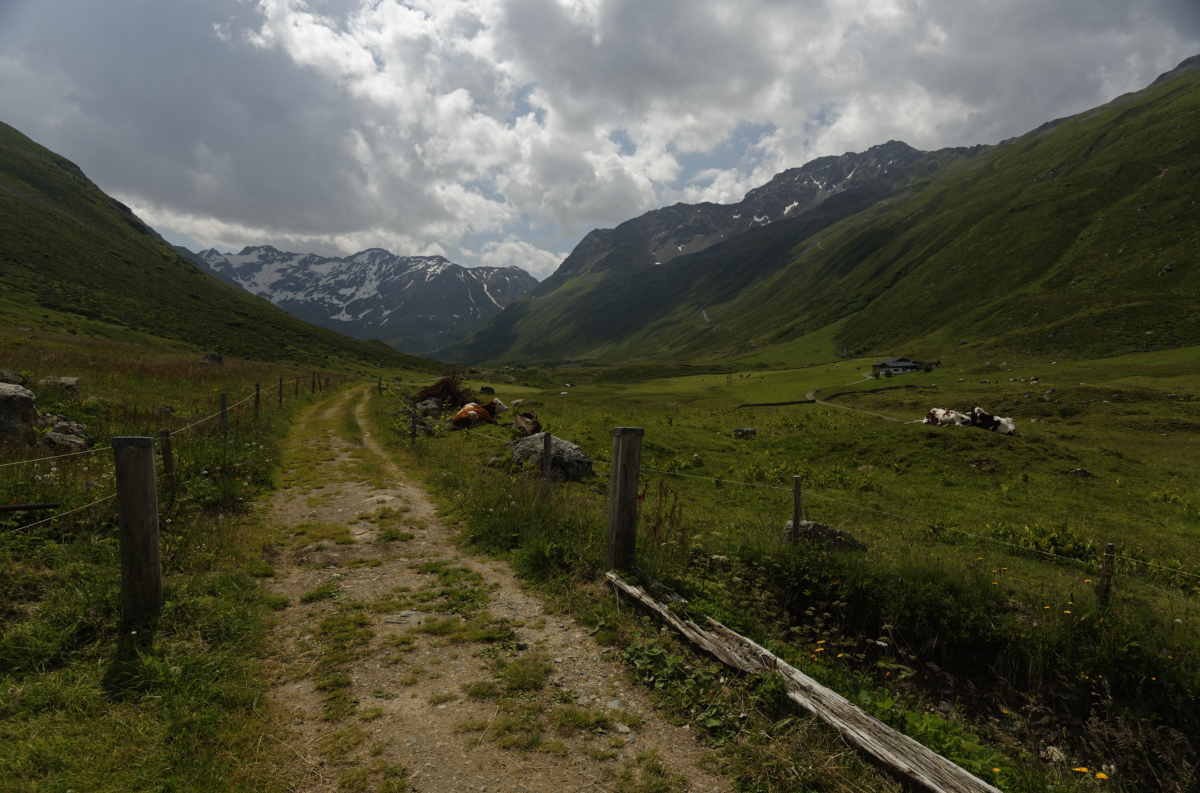 Le Val Dischma entre Klosters et Davos