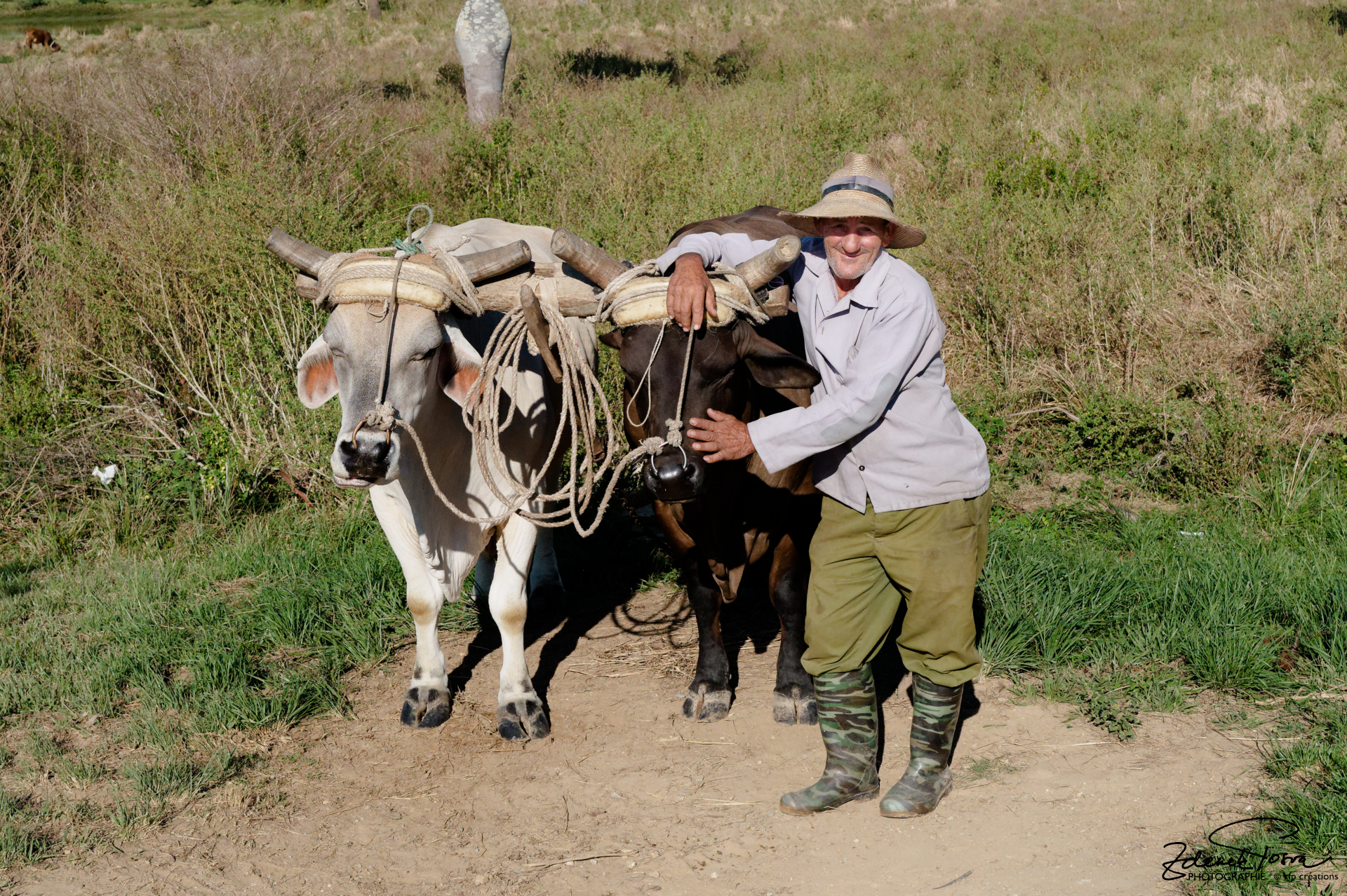 Un paysan sur la route à Piña des Rio