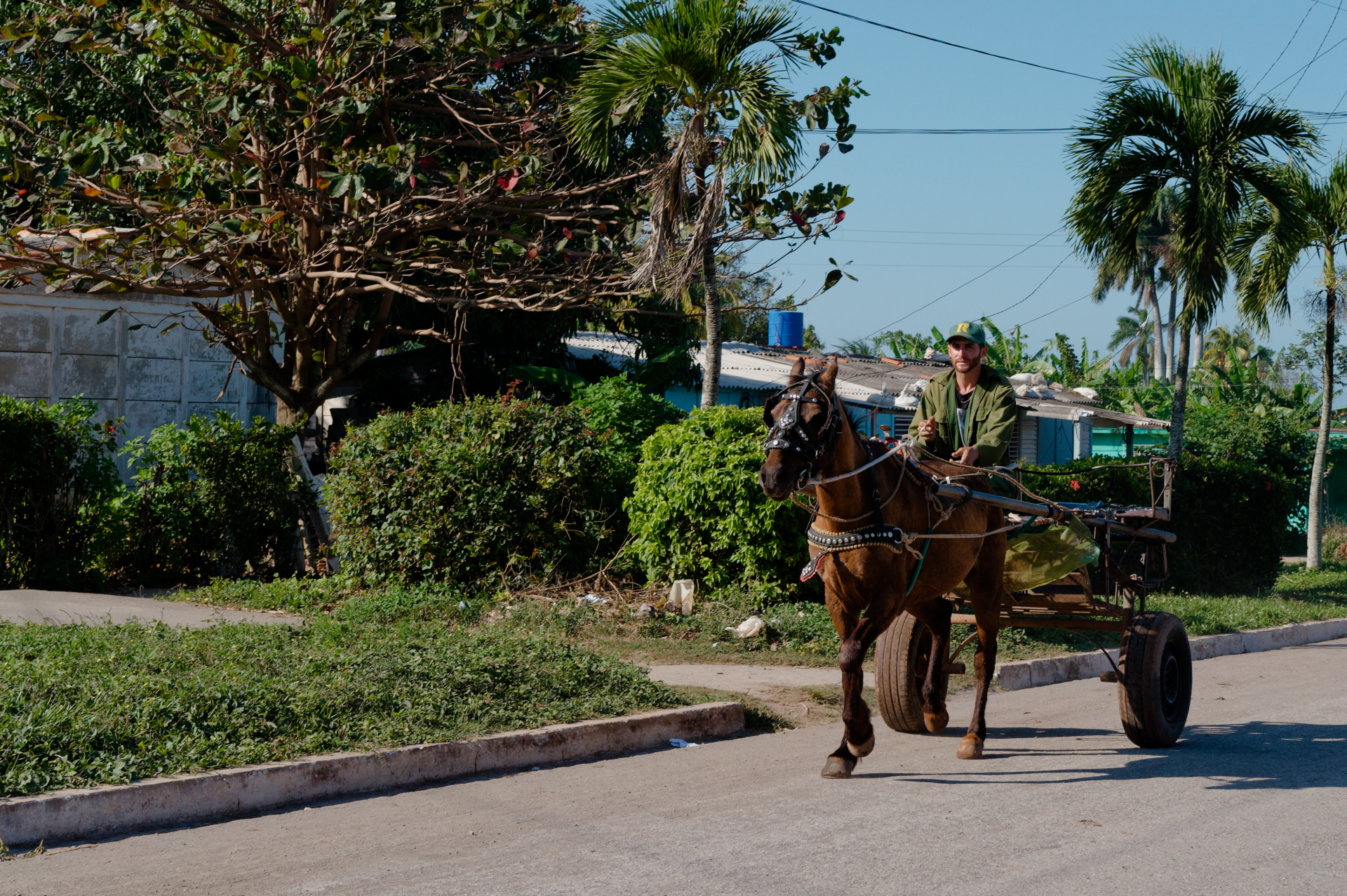 Plus de chevauux que de voitures à Puerto Esperanza