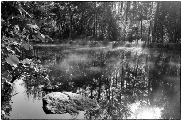 La brume matinale sur la rivière