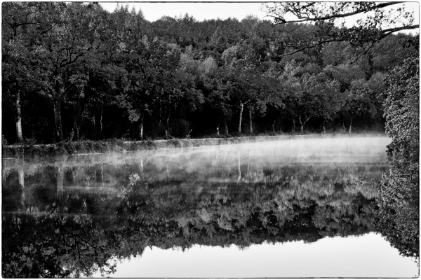 La brume sur l'eau