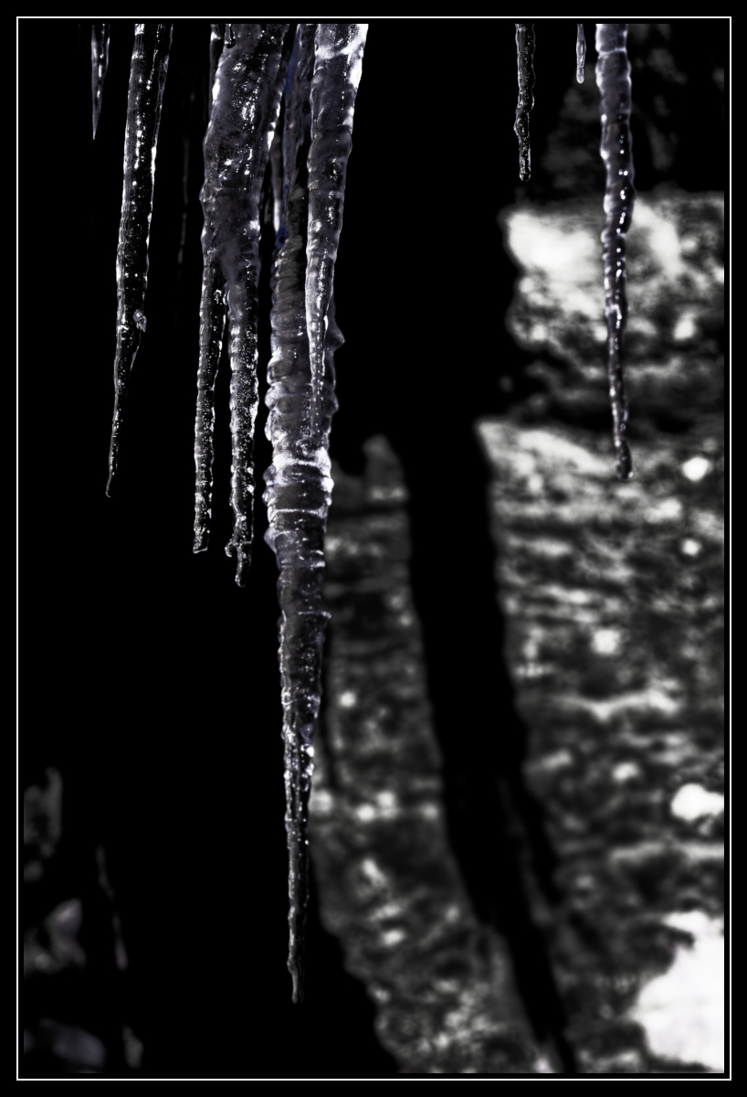 Les réflets téméraires de la lumière