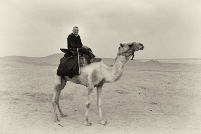 Pyramides et Caire