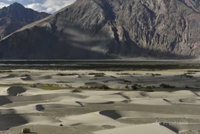 039 Nubra_valley